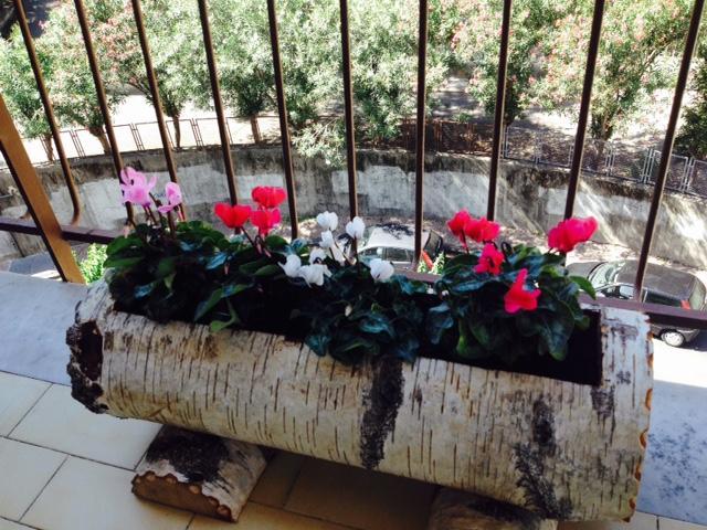 Chiavi Antiche B&B 살레르노 객실 사진