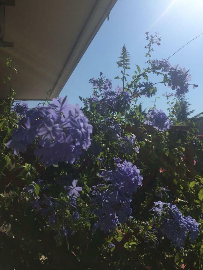 Chiavi Antiche B&B 살레르노 외부 사진